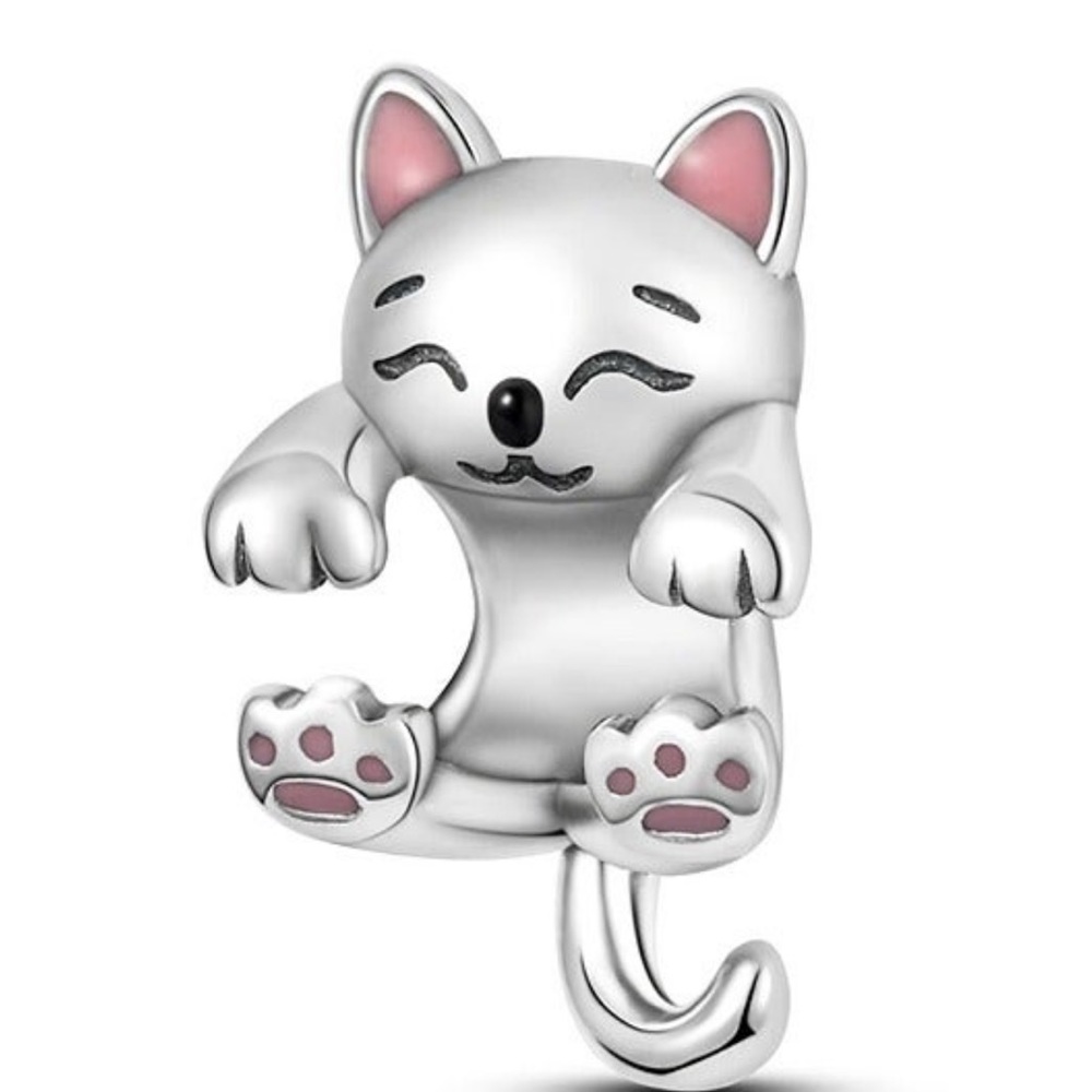 COPY - Pandora charm
